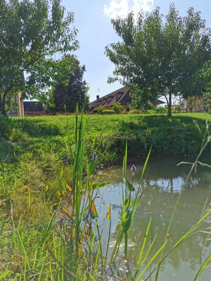 Gite De La Ferme De La Terve Bruailles Buitenkant foto